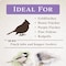 Global Harvest Foods Songbird Selections Wild Finch Feast Wild Bird Seed Wild Bird Food 5 lb 13626 - alternate 8